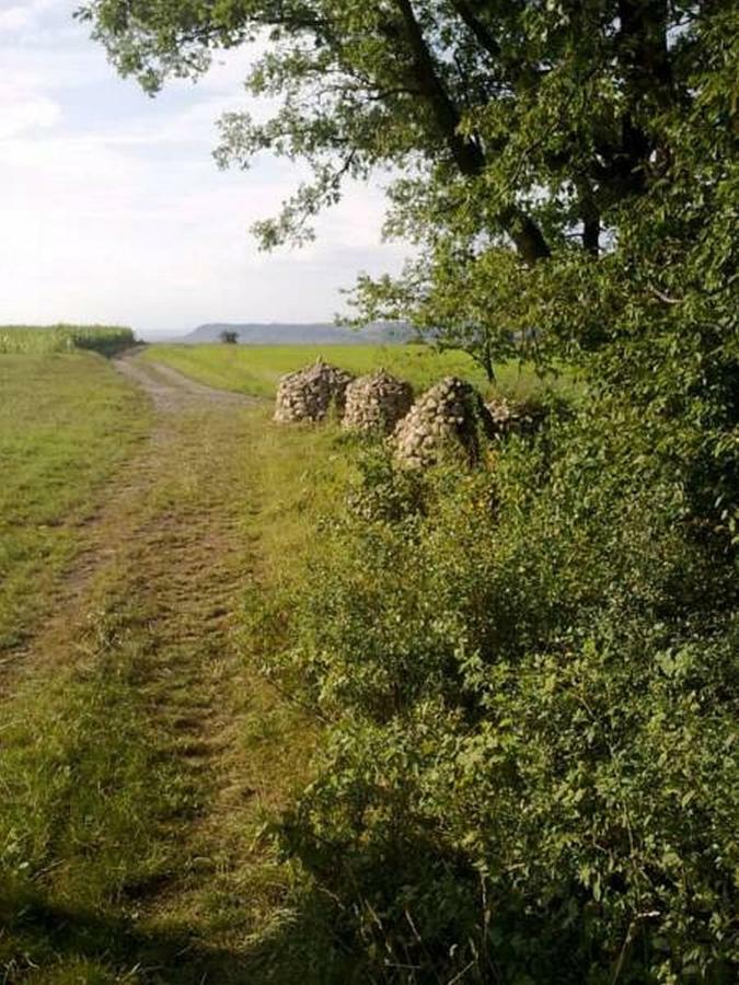 Cityzimmer Eltmann Zewnętrze zdjęcie